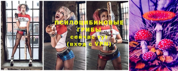 стаф Горно-Алтайск