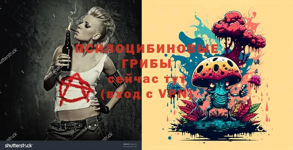 стаф Горно-Алтайск