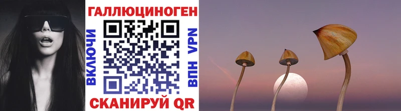 Галлюциногенные грибы прущие грибы  mega как войти  Назрань 