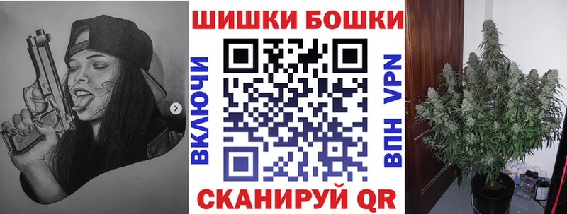 купить  цена  Назрань  мега маркетплейс  Марихуана SATIVA & INDICA 